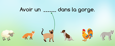 Expressions avec des noms d'animaux, jeu en ligne