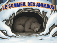 Histoire éducative racontée aux enfants, le sommeil des animaux