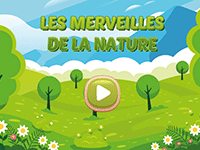 Jeu éducatif en ligne, la nature, des phénomènes surprenantsCE2, CM1, CM2