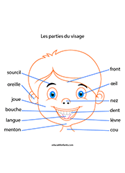 Apprendre les différentes parties du visage, maternelle, MS